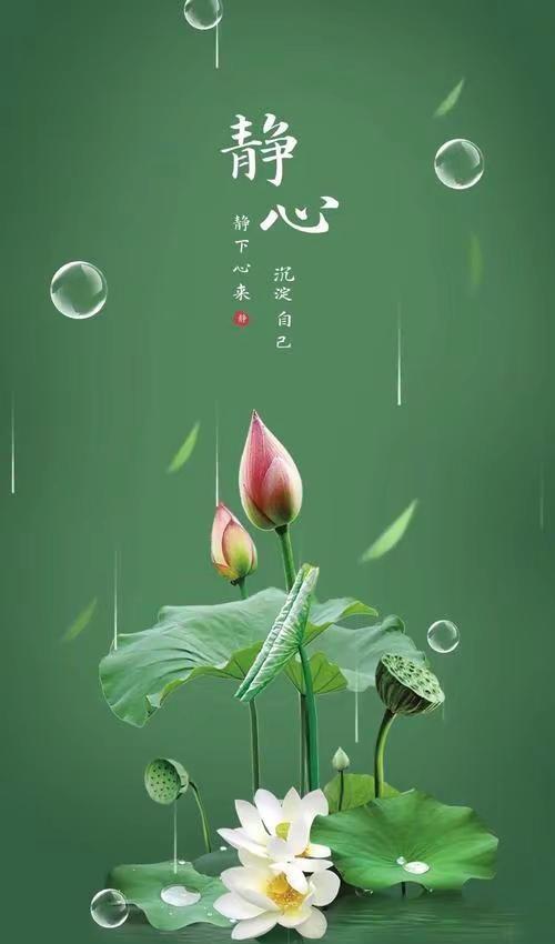 静享时光。一张绿意盎然的照片，愿能在这喧嚣世界，寻一方静谧，感受内心安宁🌿🙏