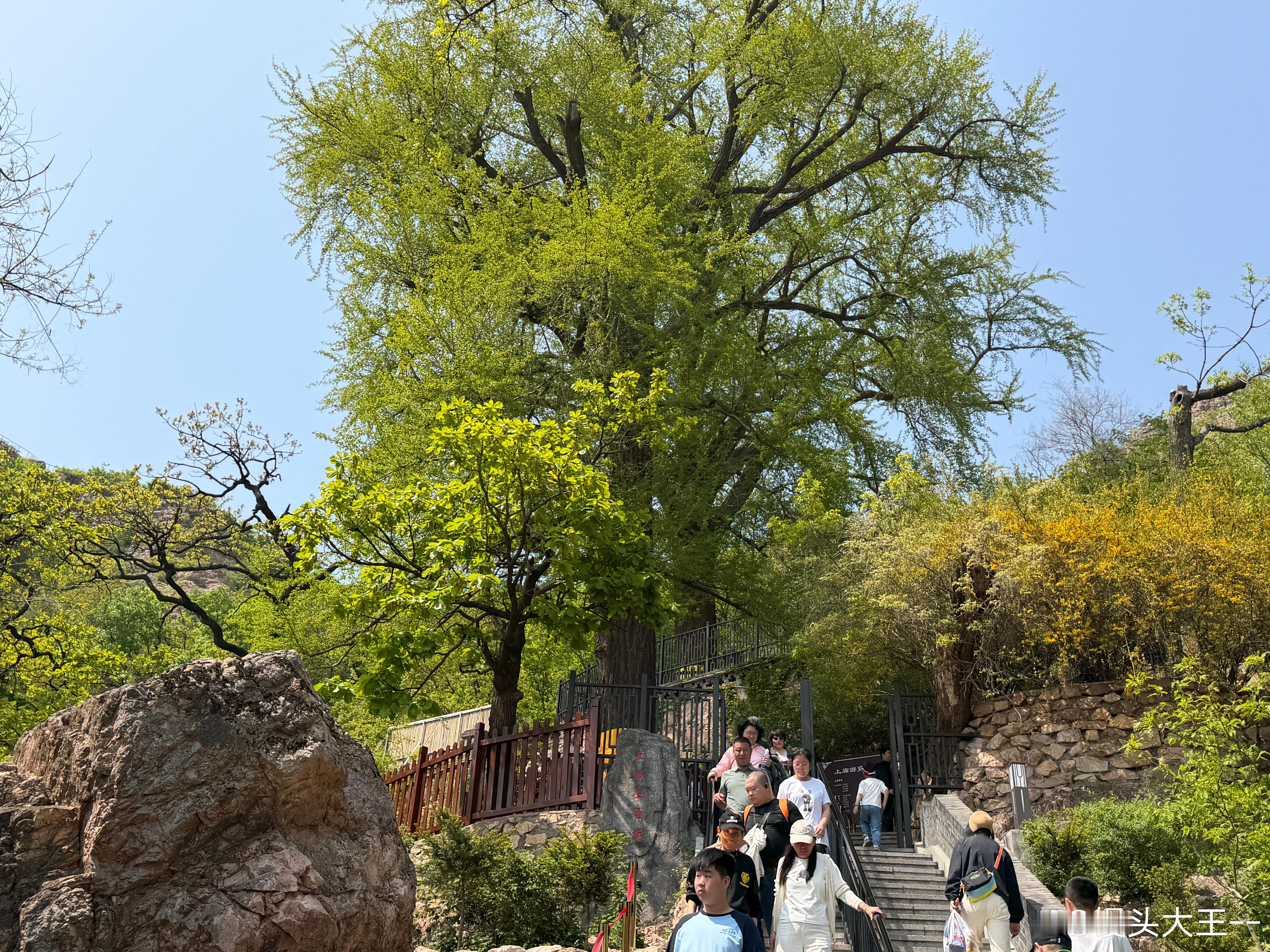 有点夸张，但是真的：大孤山一路走下来，几乎没有哪个点是“刚好没人”的。不是因为人