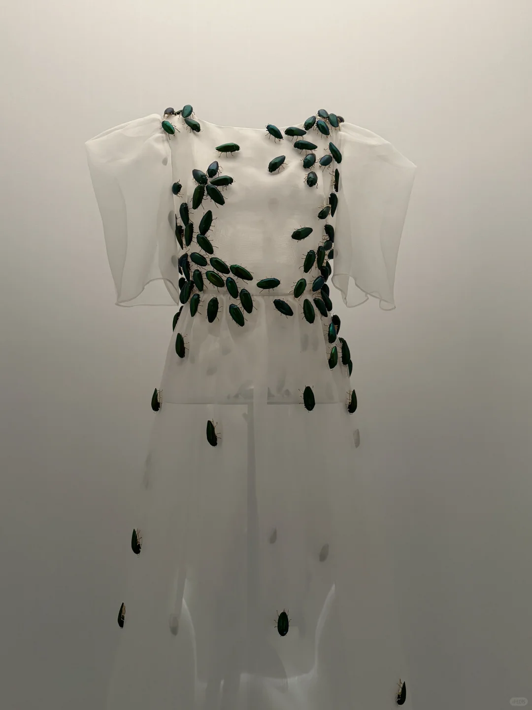 纽约🥀再排队也得看一次Sleeping Beauty