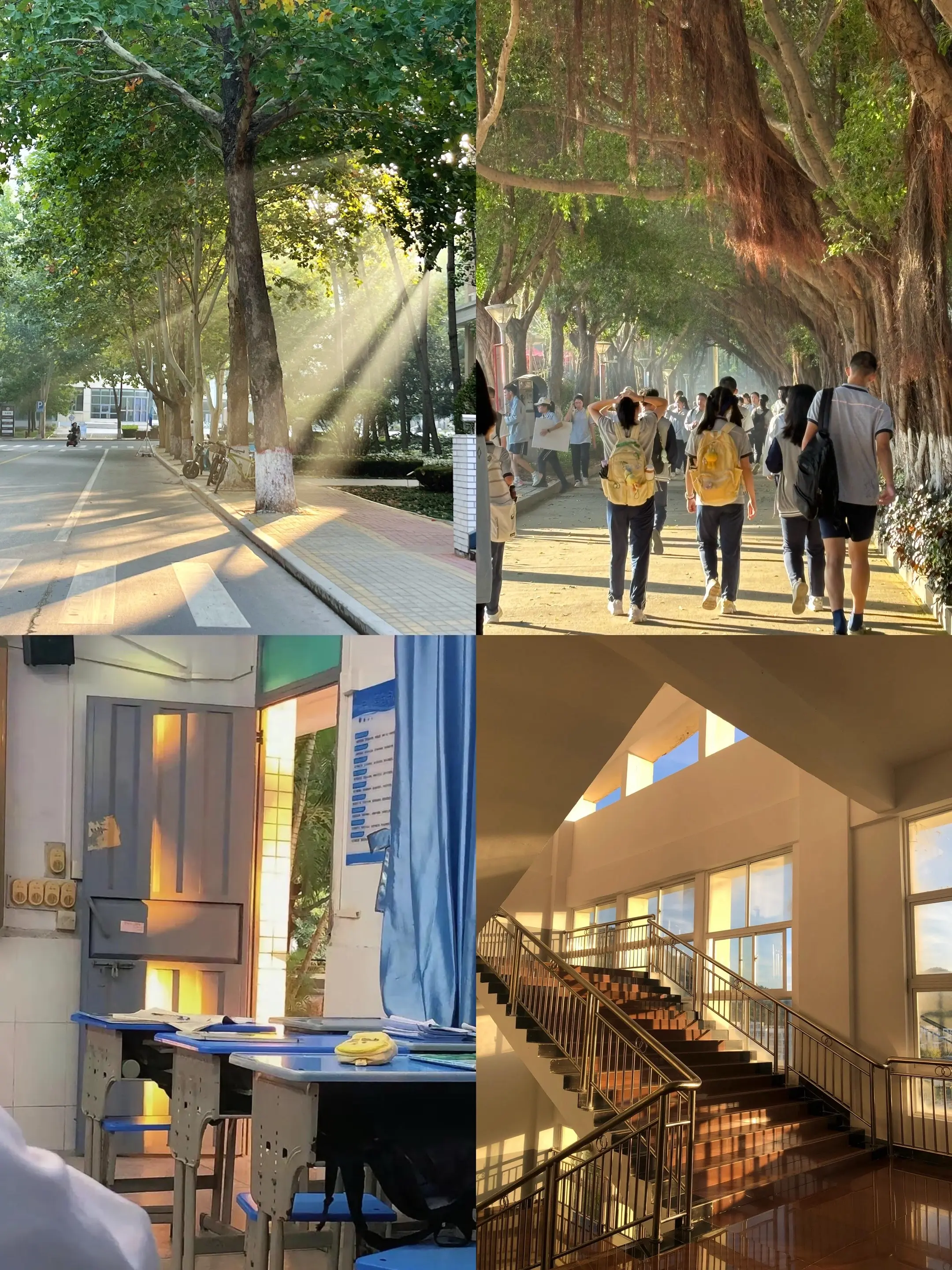 哪种相遇最让你心动