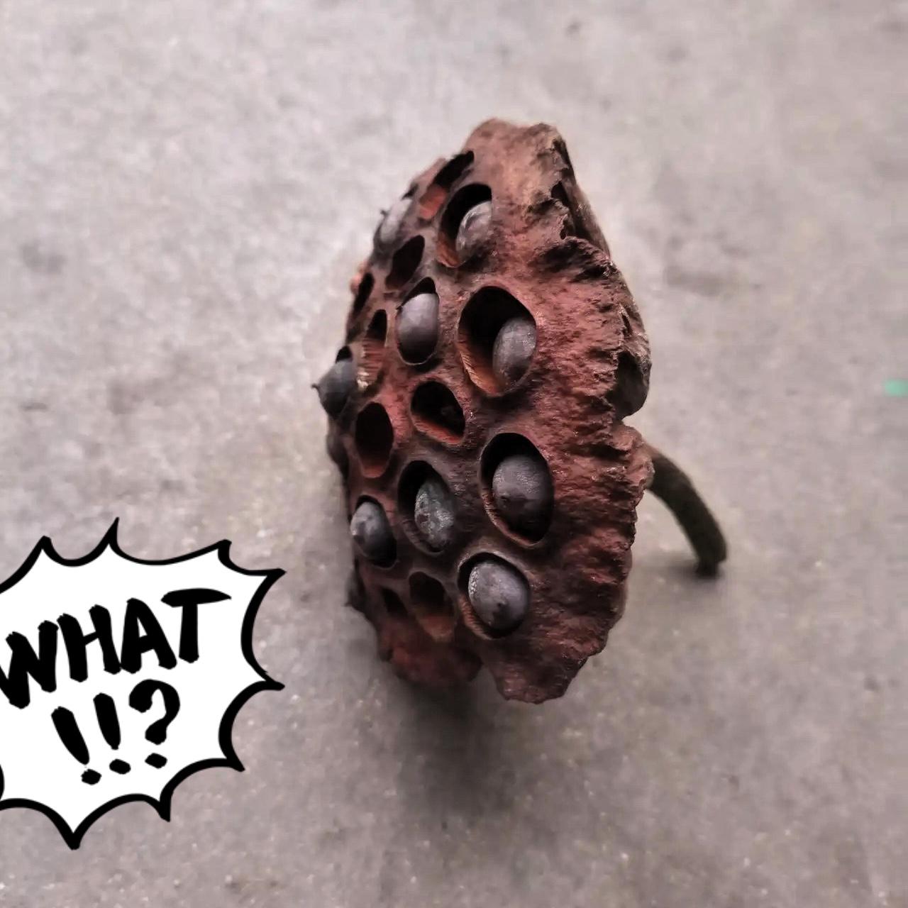 歌坛大咖演唱会接连遇冷！这才是关键原因！

最近歌坛有点热闹不起来了！杨坤、那英