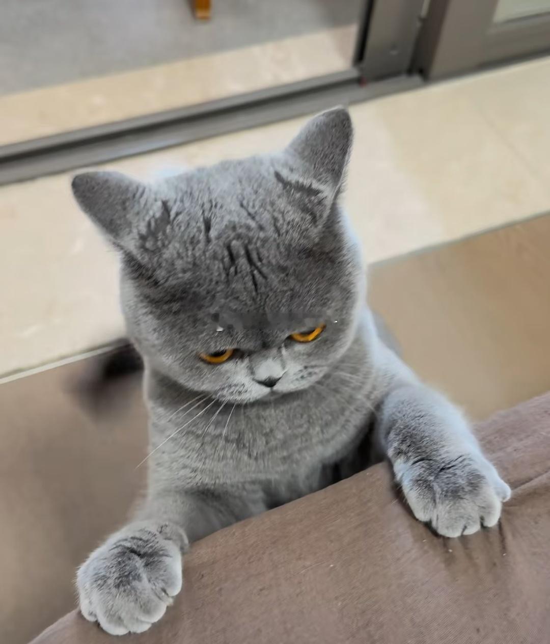 哈哈哈 