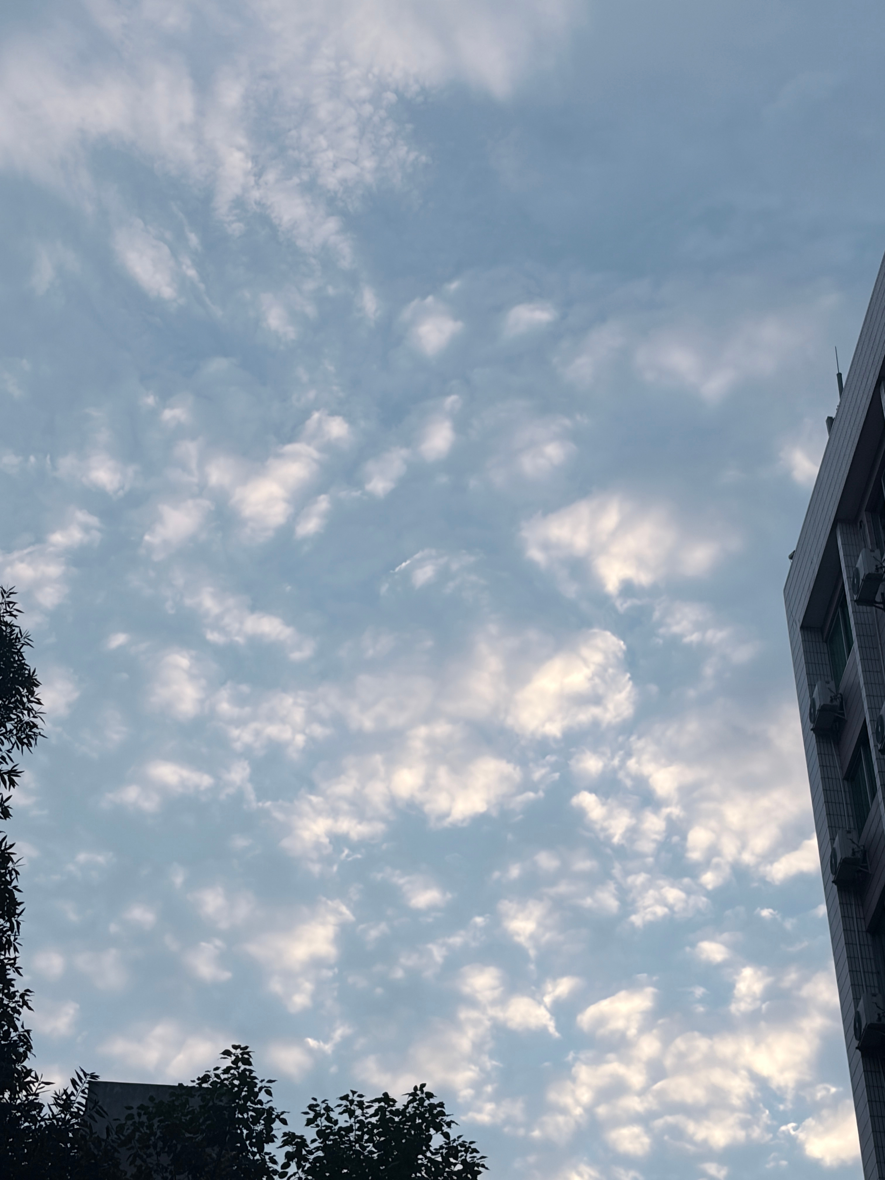 天气真好 