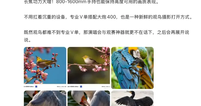 vivo X300 Ultra增距鏡：挑戰1600mm手持觀鳥