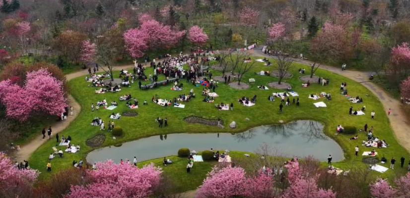 荆州樱花季火爆出圈！首场活动人挤人，浪漫值直接拉满
春天想找地方赏花拍照、玩得尽