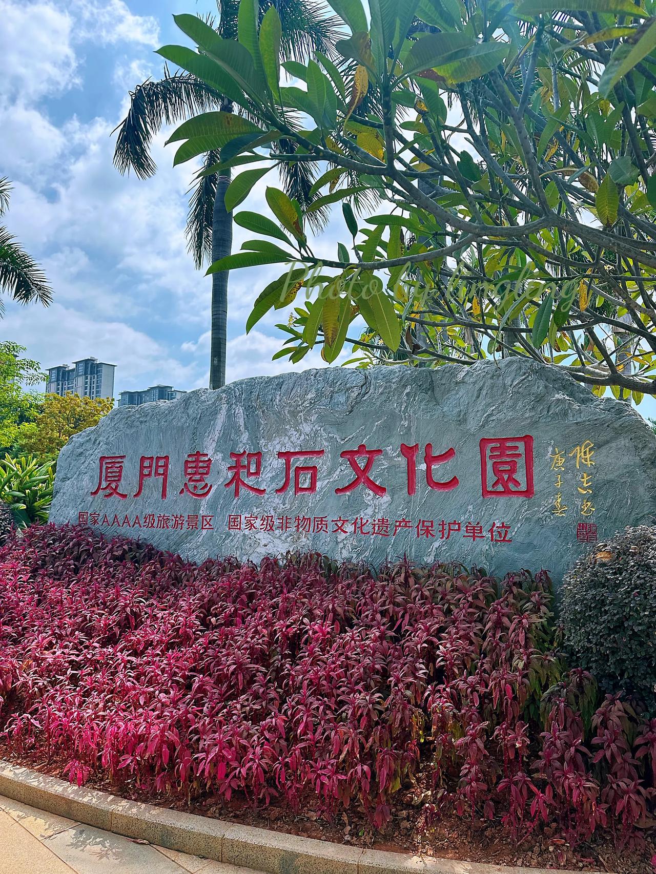 🎨 在厦门发现一个神仙地方！就在市中心，路过100次都没注意，今天直接刷新认知