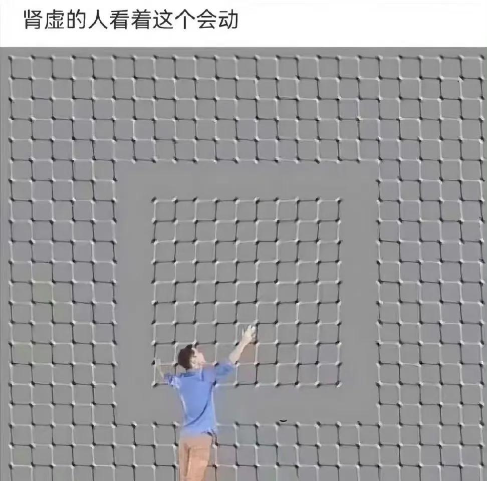 很多人以为这个是动图，其实就是静止的，保存下来放大看就知道答案了[吐舌] ​​​