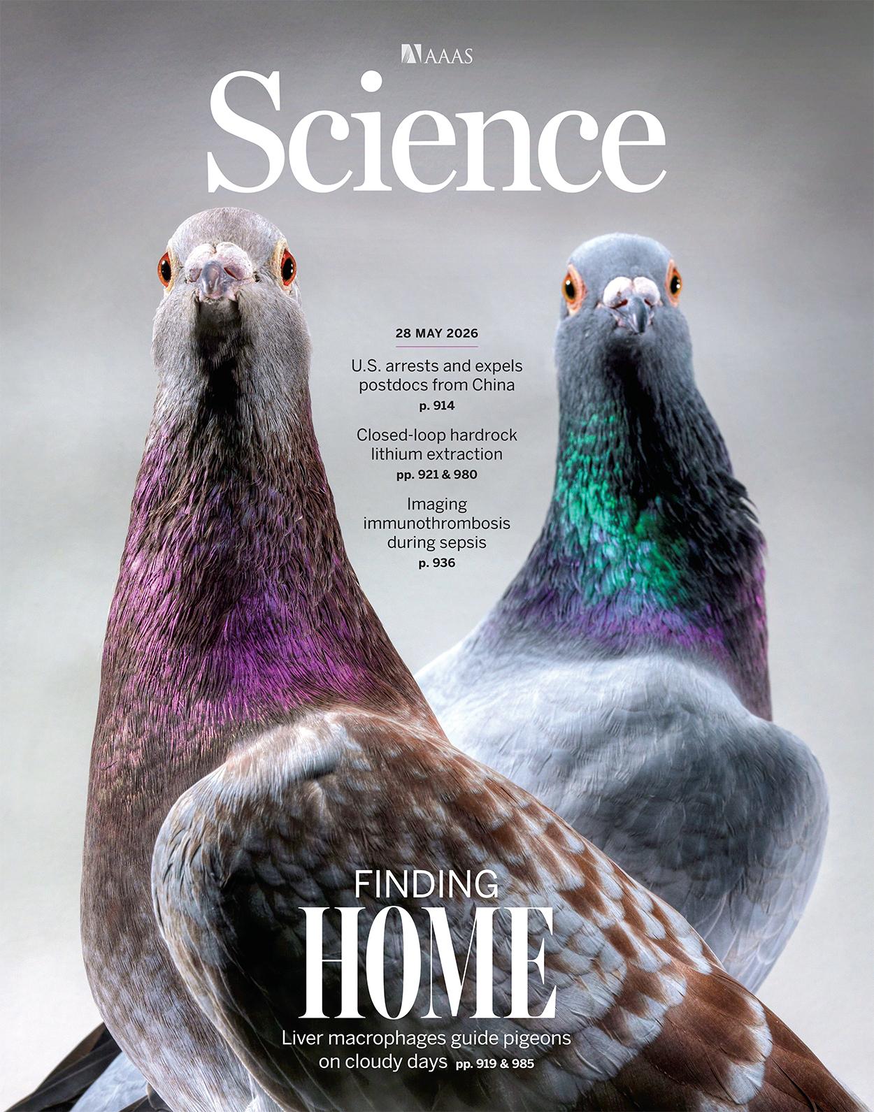 据SCIENCE官网报道，中国博士后正被大规模驱逐出美国科研圈。美国农业部一次性