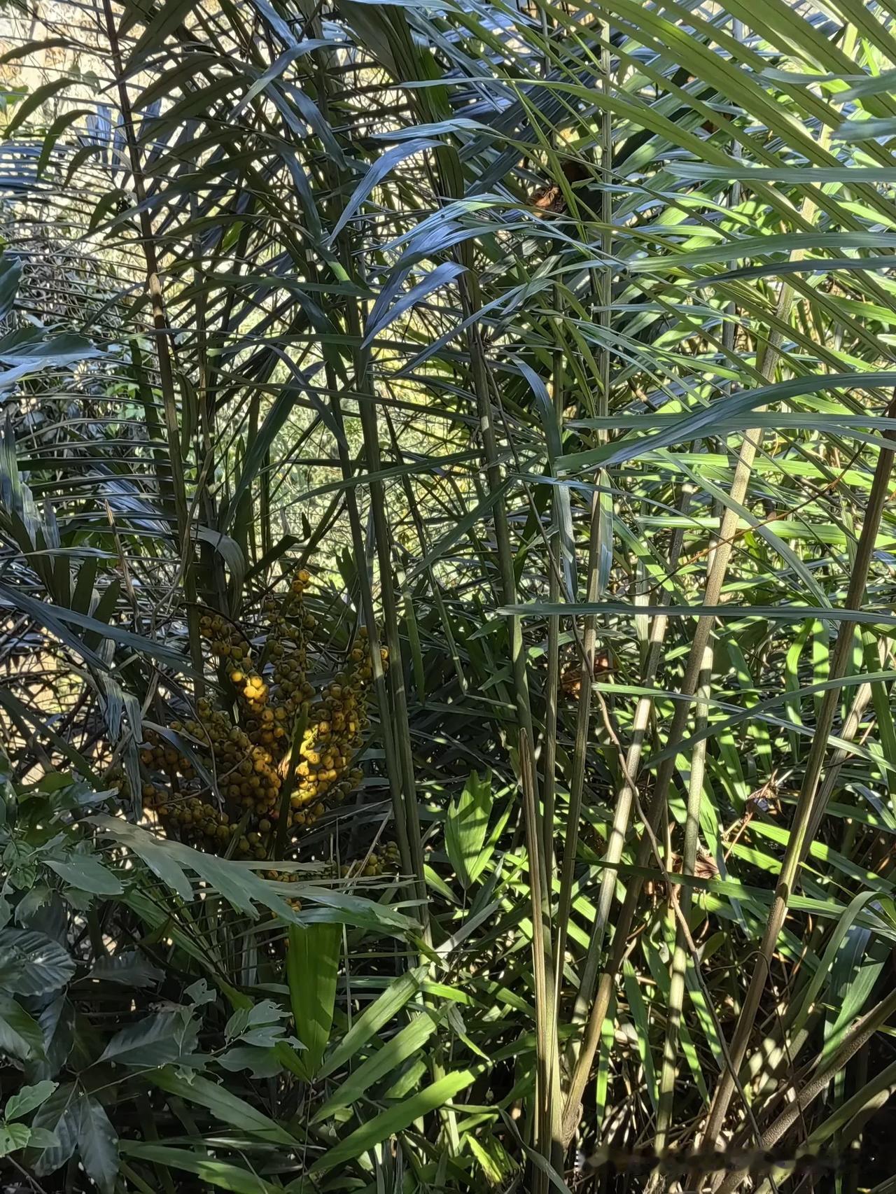 五一美景随拍山高路遥，天然的氧吧，