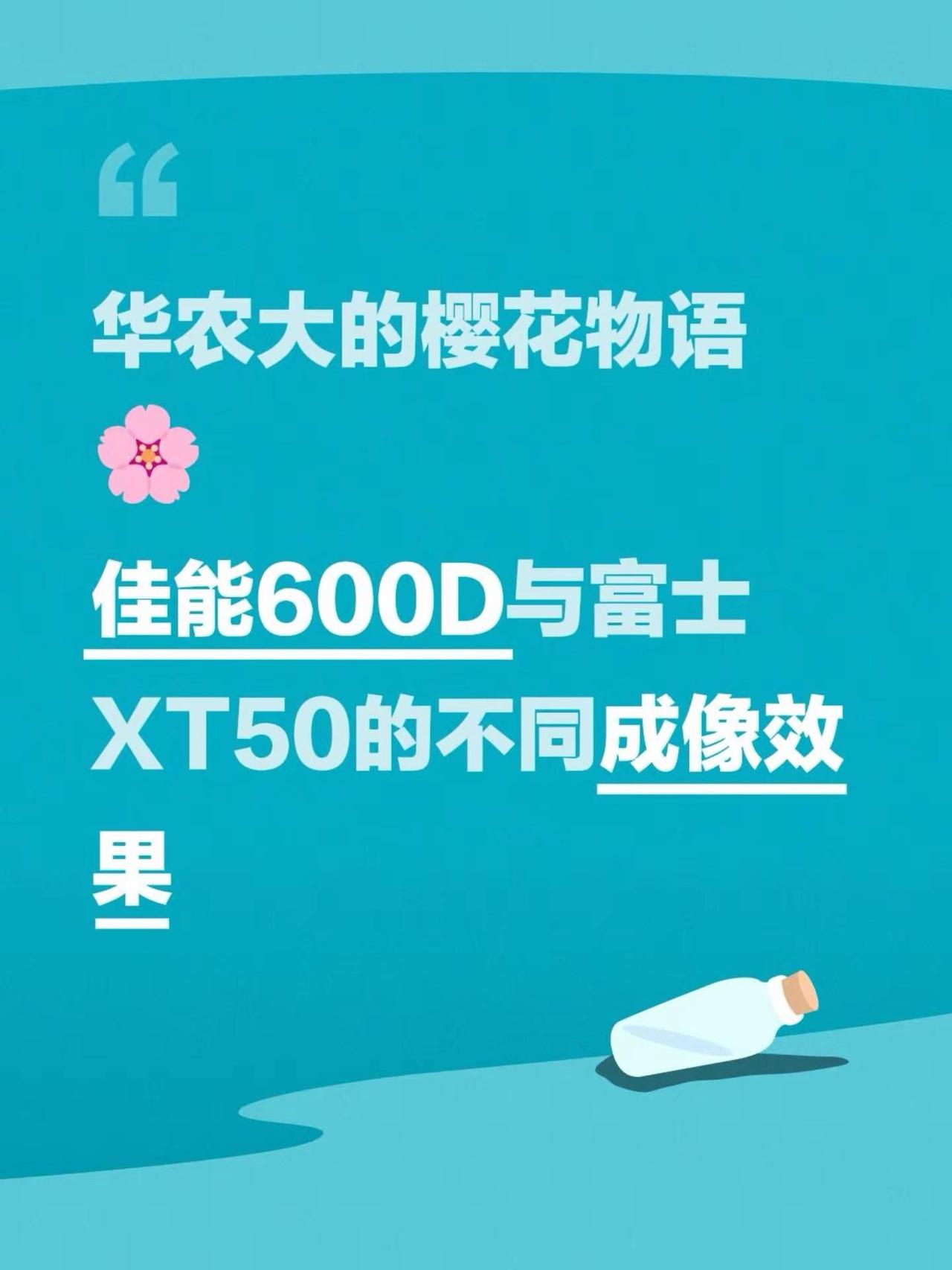 感动常在。华农大的樱花物语🌸佳能600D与富士XT50的不同成像效果华南农业大