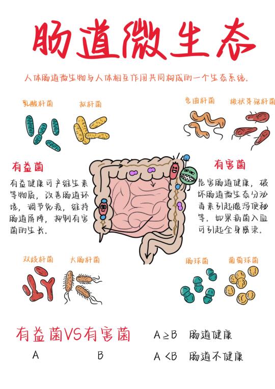 肠道也会报警！医学生笔记整理！🔥