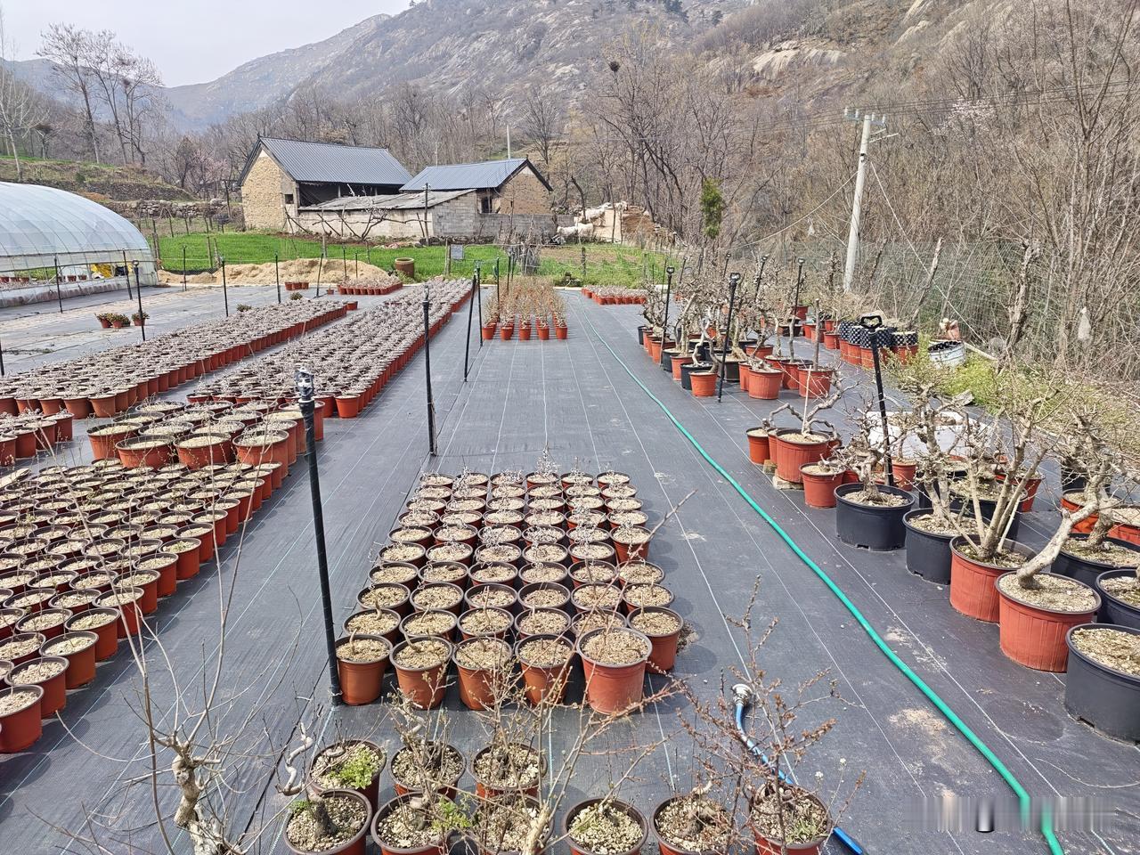 记录我的2026一次南阳之行，竟然无意当中走进了一个山里，也许是喜爱盆景的原因，