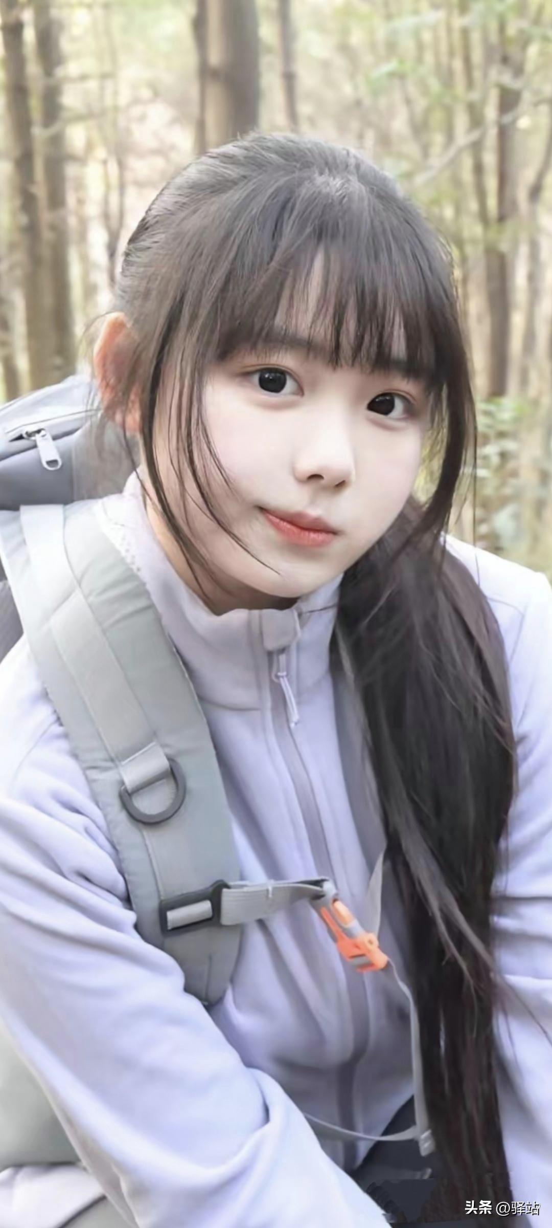 美图欣赏，看图写诗，情感解读

《林径寻幽》
 七言绝句：
林深叶密覆轻霜，
步