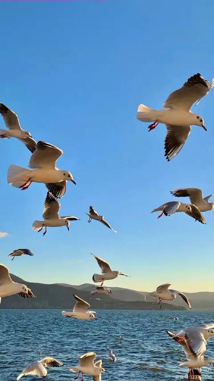 上联：天高云淡南飞雁，
下联：地阔风柔北望驼，
下联：山险路遥西行客。