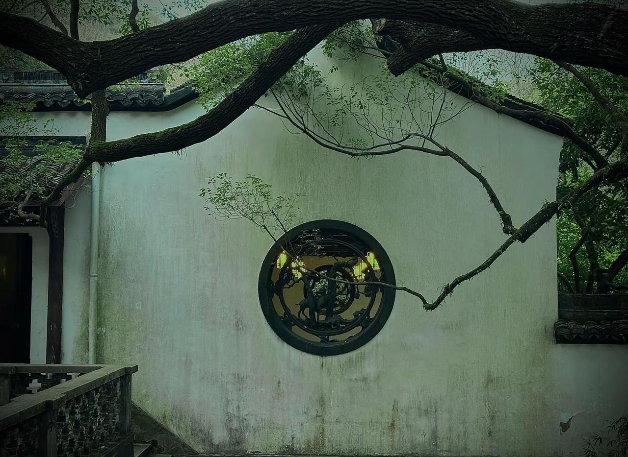 总要去一趟虎跑吧，吹吹山间的清风