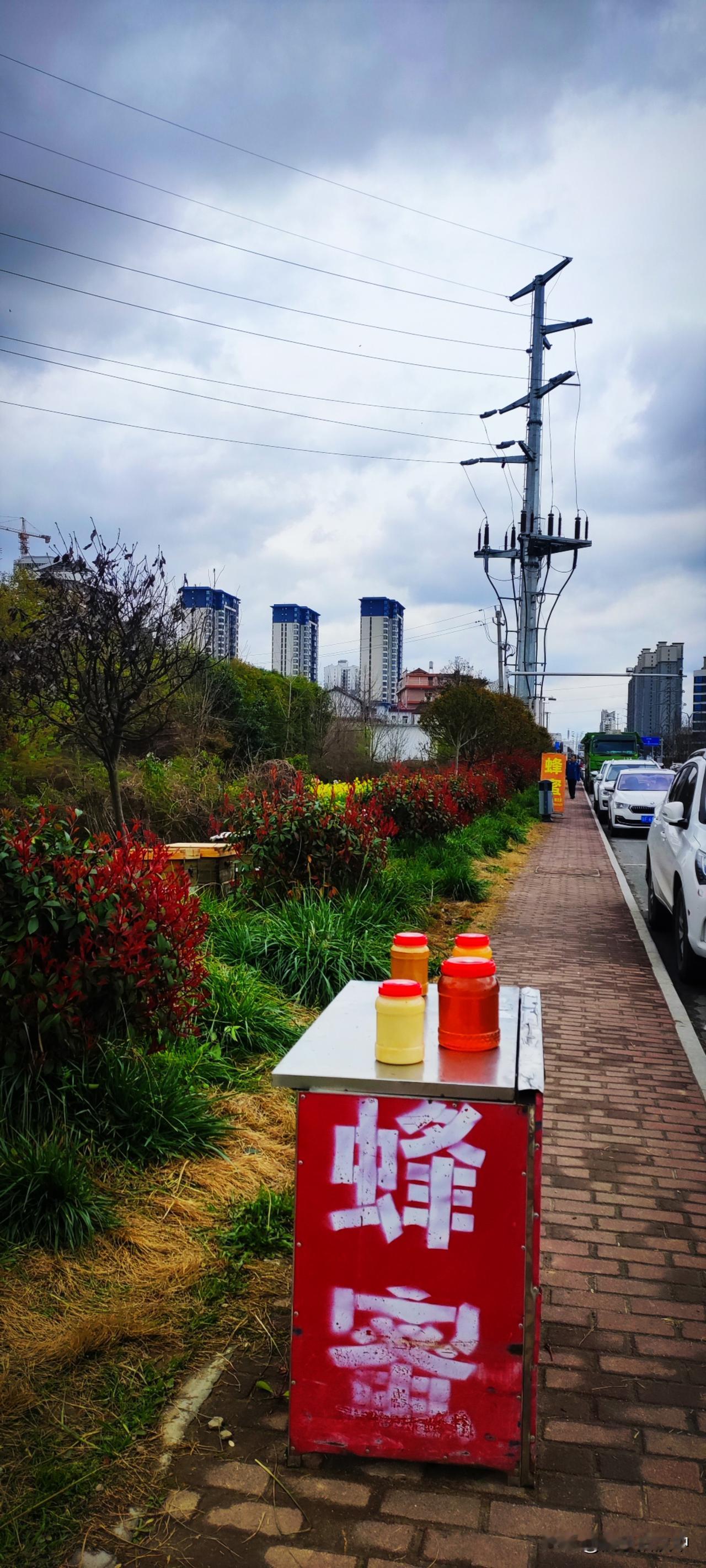 油菜花开好了，蜂农也赶来了。路边的蜂箱和帐篷，支个桌子摆上今日收获的蜂蜜和花粉，