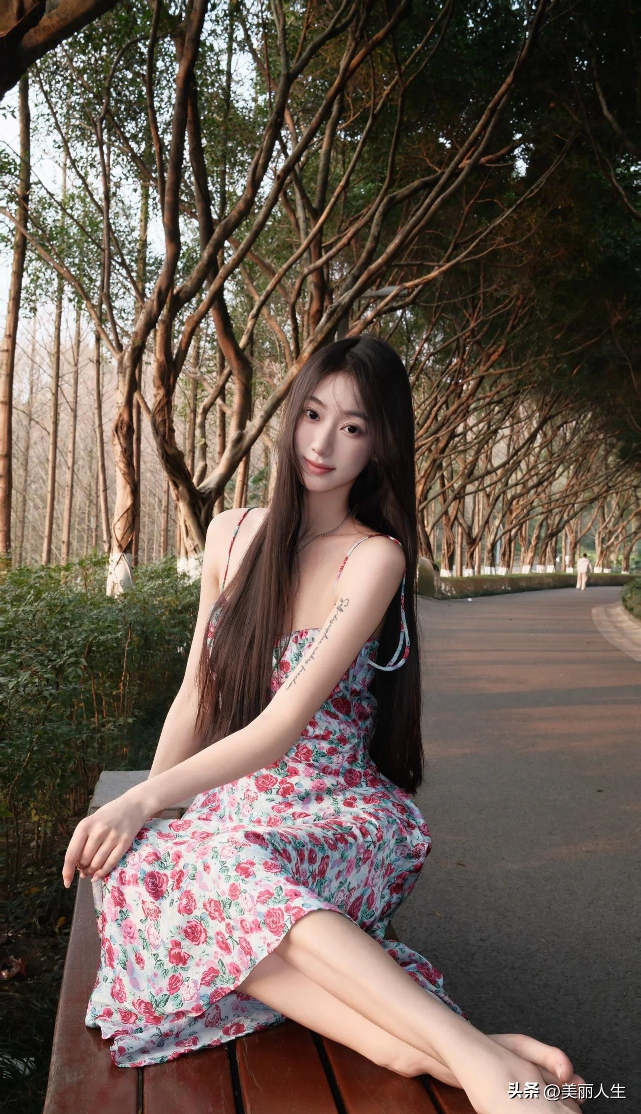 中国最会开花🌼的城市，昆明，花开不败，四季浪漫