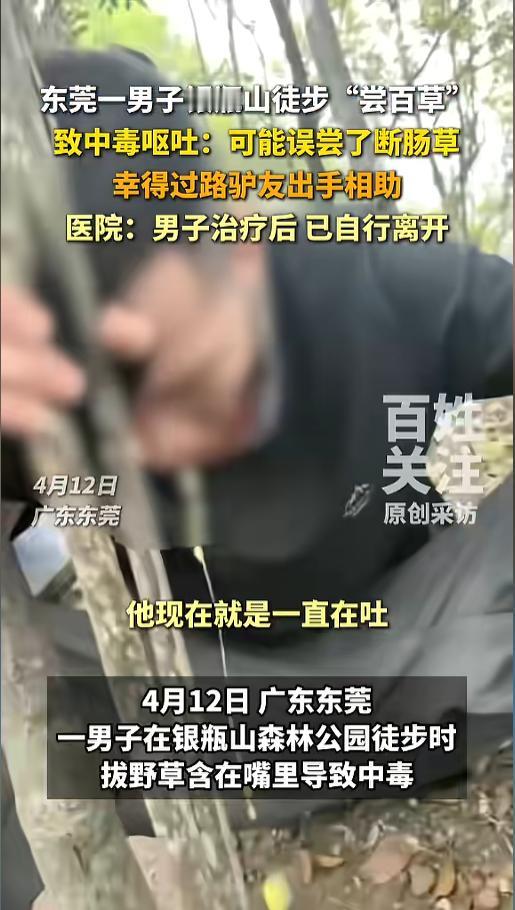 “当代神农？”4月12日，广东东莞，一男子在山中徒步，随手摘了植物的嫩芽放进嘴里