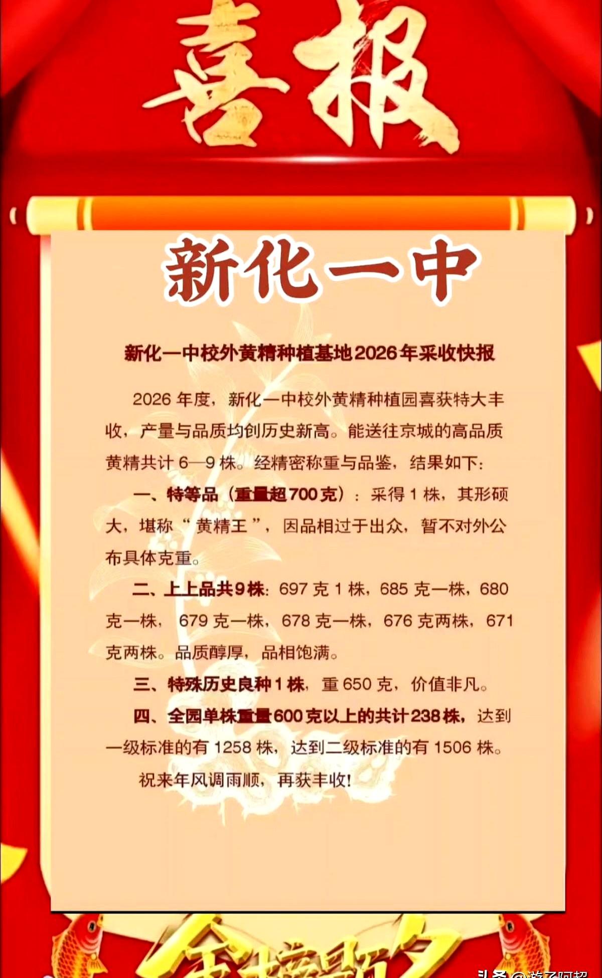 当新化的黄精堆满晾架时，这所县中把喜讯抛了出来——2026年高考成绩新鲜出炉。