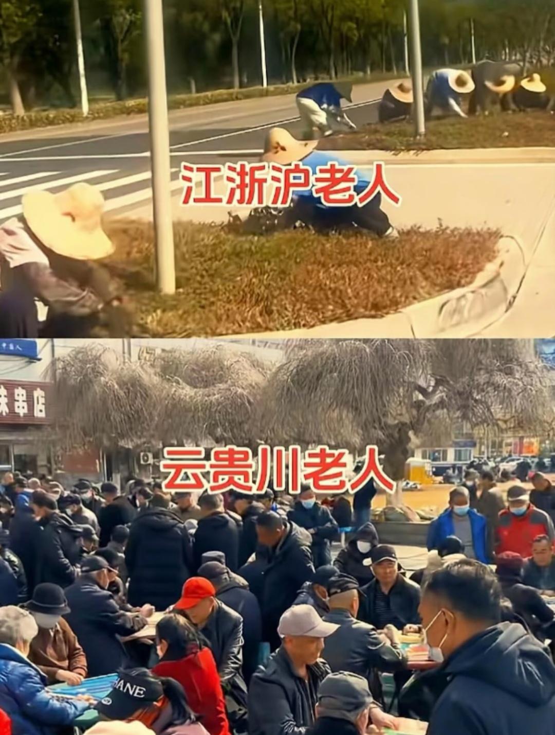 同样是老人，生活状态差别一目了然。江浙沪不少老人还在户外劳作干活，云贵川的老人聚