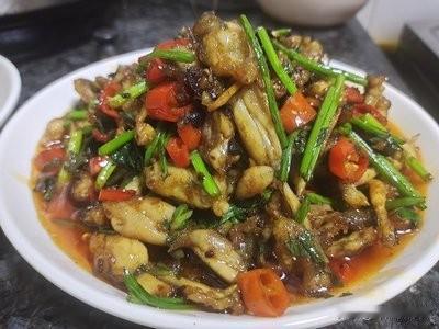 回忆我的童年趣事。捉田鸡。

八十年代的夏天，我的家乡豫中平原。不同于北方地区干
