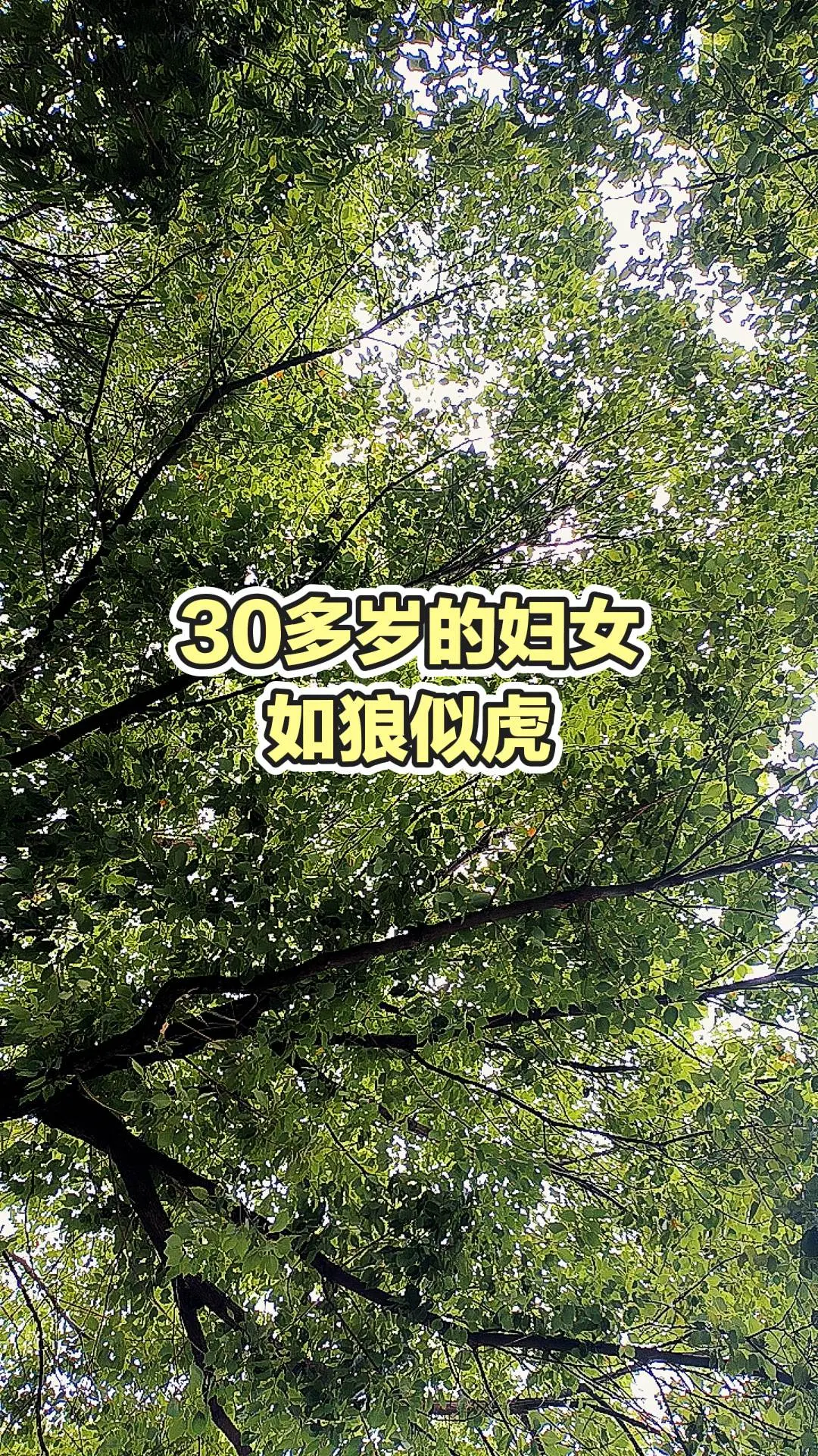 每日分享