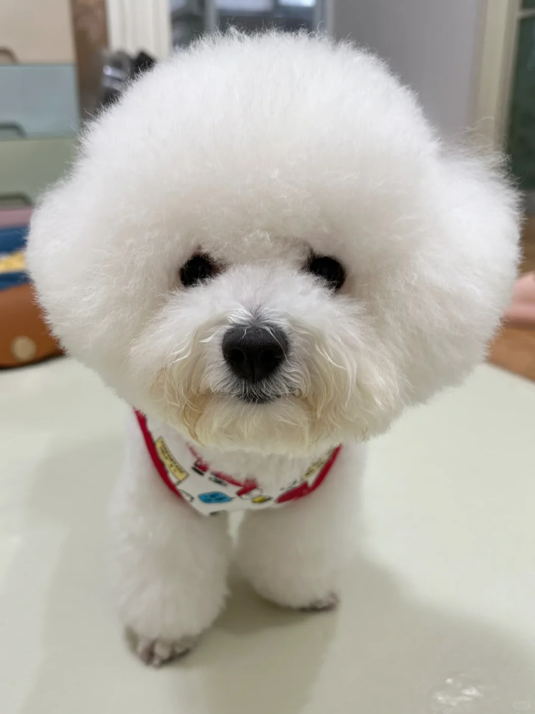 处女座的宝宝都这么爱干净吗