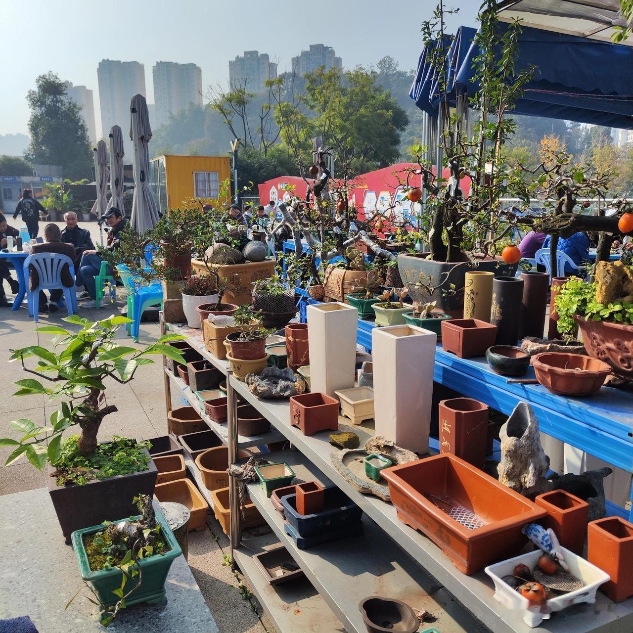 公司门前的广场，物业公司弄了许多集装箱搁在庭院里，刚刚开始的时候，各种时尚芭莎的