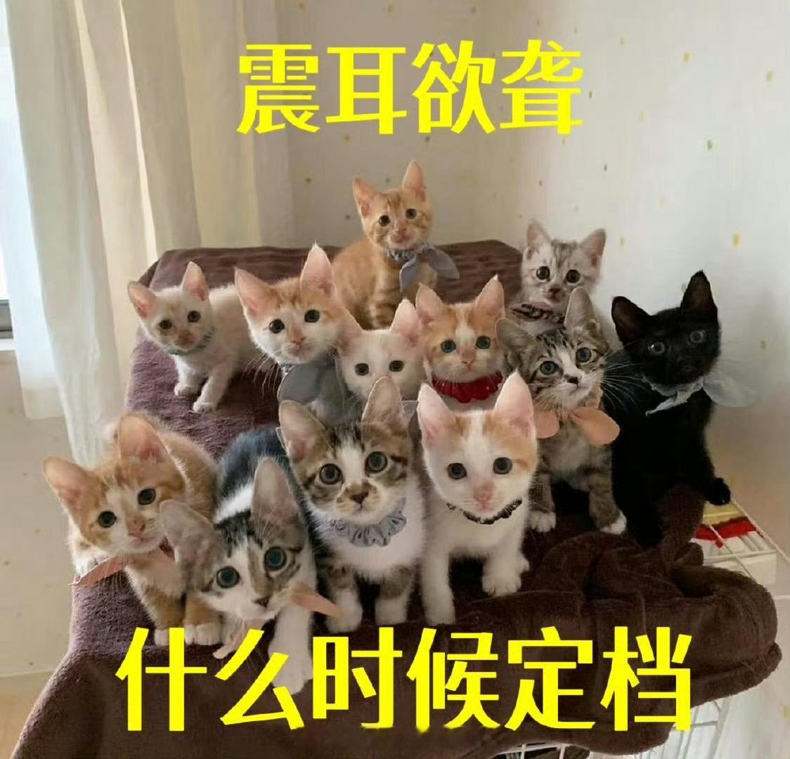 2025国庆档电影最想看的是檀健次《震耳欲聋》[泪奔] ​​​