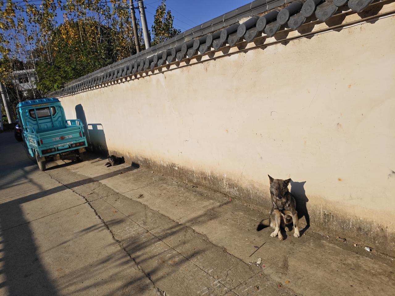 跟老婆发信息开玩笑说这刁班，真不想干了，累成狗了。

老婆发了张照片给我，说：别
