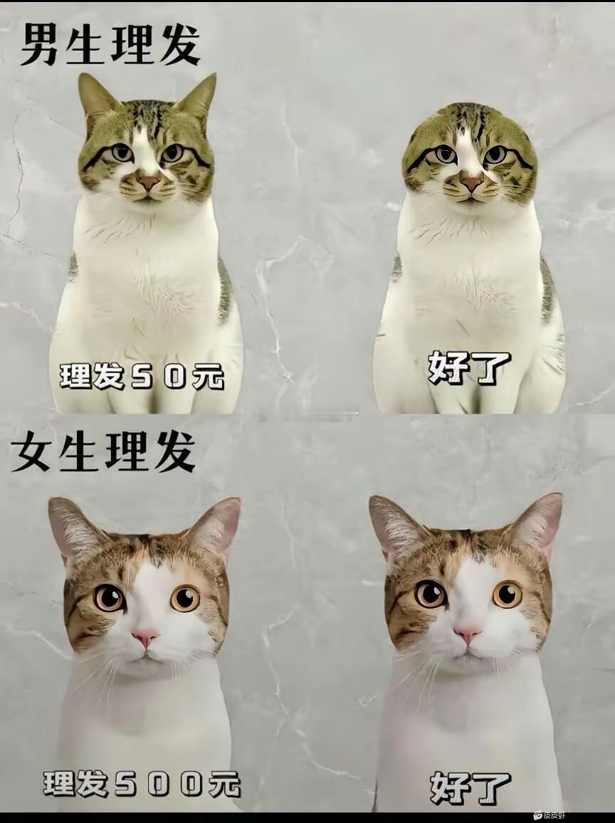 还真的挺形象