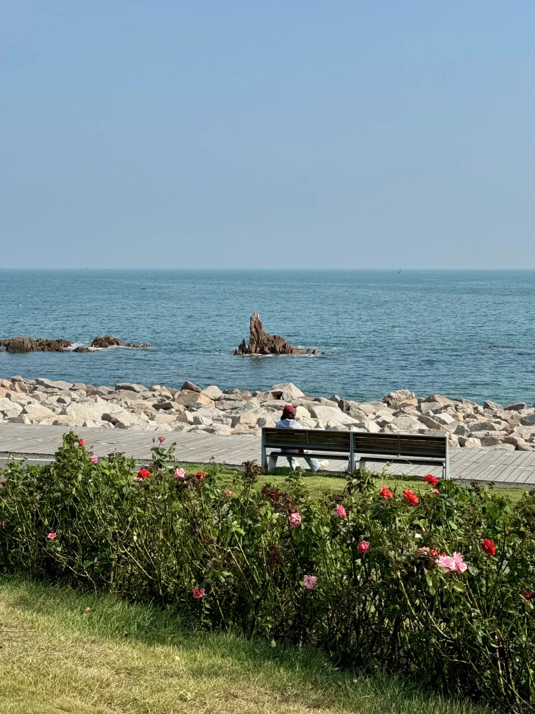 9.28实况～青岛海边小麦岛公园好美🌊！！