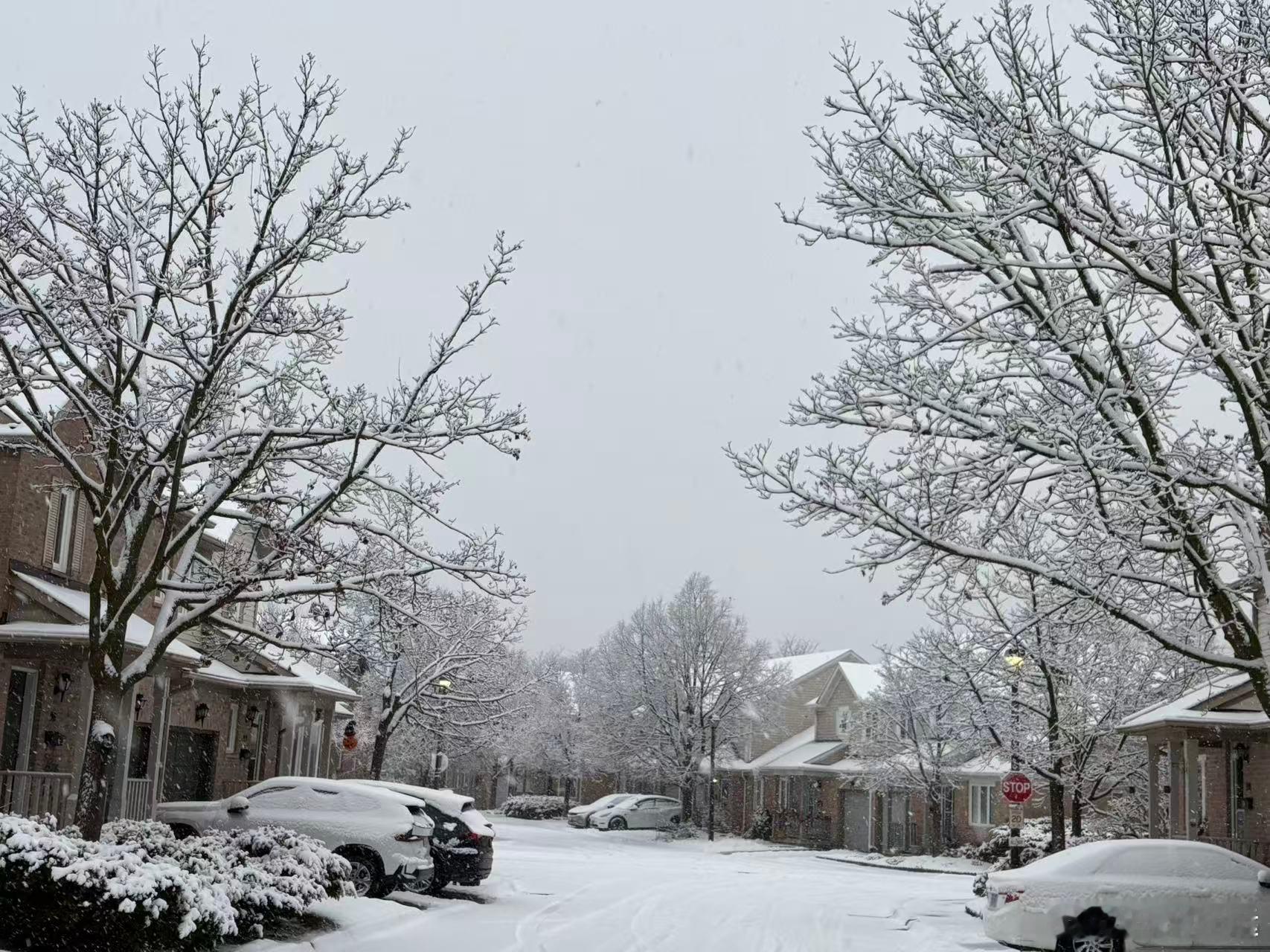 北京初雪来了武汉也跟着降温了，一到冬天大家都期待着下雪❄️ 