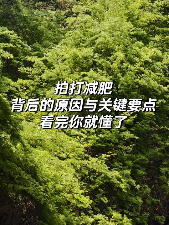 拍打竟会胖？拍打减肥的神奇逻辑