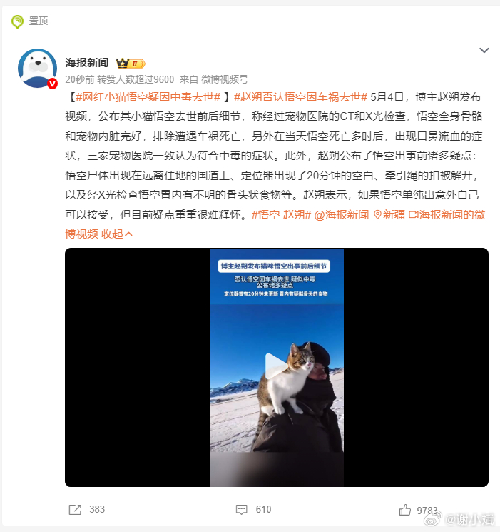 网红小猫悟空疑因中毒去世网红小猫悟空疑因中毒去世，看完视频有点难受。大家都以为是