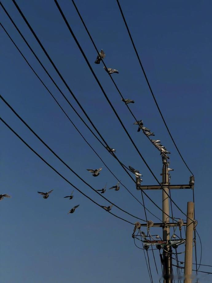 *𓌉◯𓇋 ʜᴀ͟ᴘ͟ᴘ͟ʏ ᴇᴠᴇʀʏᴅᴀʏ̆̈ ͒•∘̬• ͒ 美食与爱，