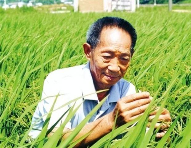 “应该立即死刑！”央视新闻在2024年4月14日曝光了一起惊天大案：据说是我国杂