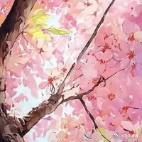 阳光信用  愿你以快乐为盾，直面各种艰难险阻。我们常常反复咀嚼生活的琐碎，忘记了
