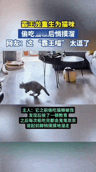 这猫绝对成精了！“霸王龙转世喵”偷吃猫粮后鬼鬼祟祟溜之大吉
 
这只猫咪简直是“