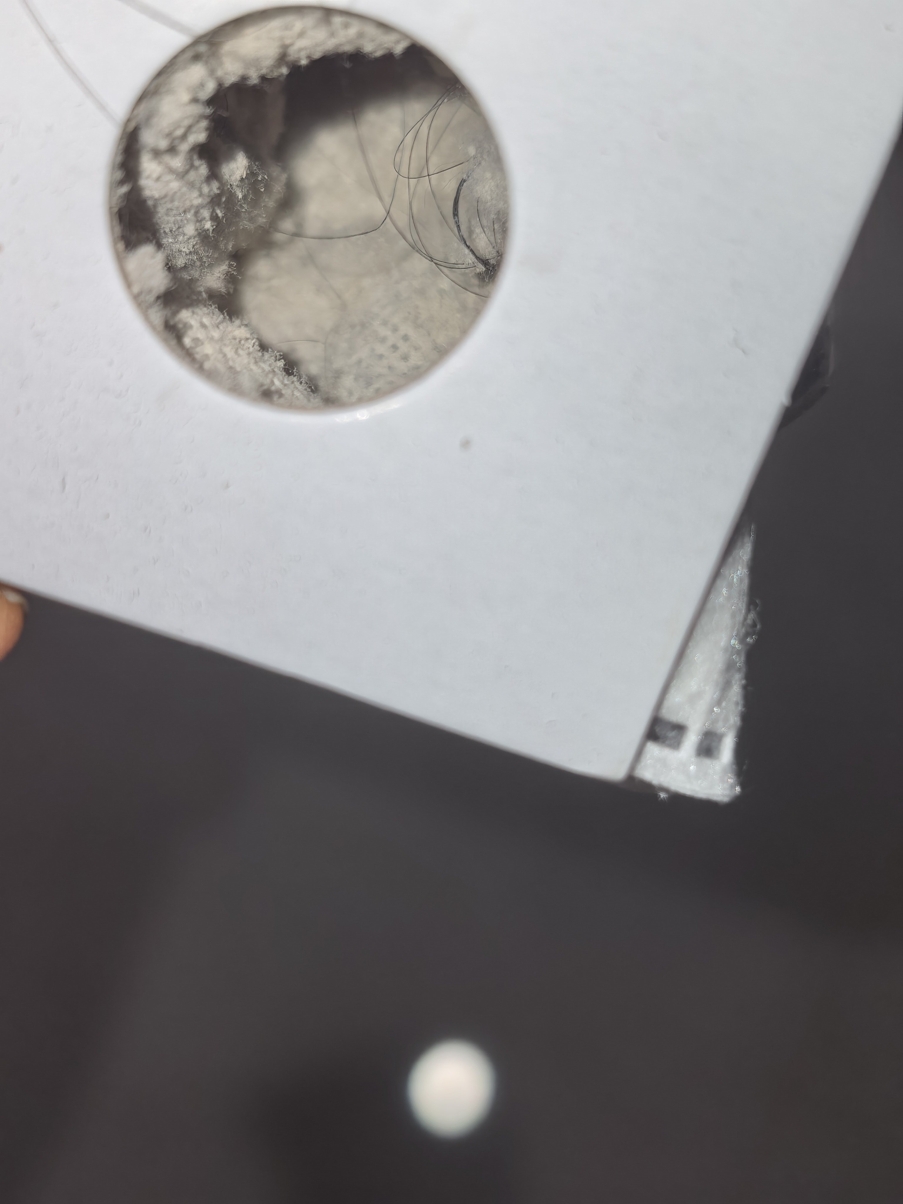 可以换尘袋的除螨仪真的很棒因为这就是一个很矛盾的事情啊大部分使用除螨仪的人，尘螨