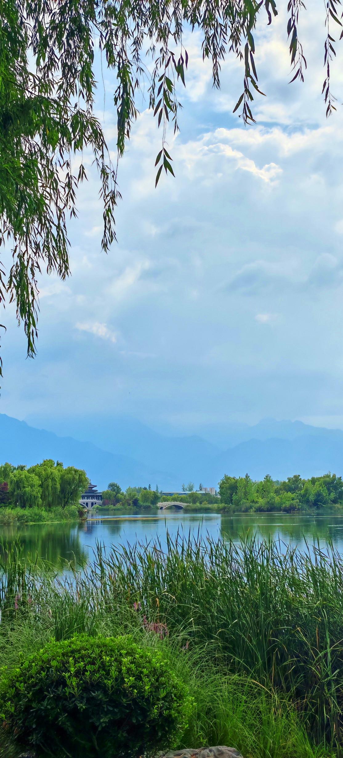 【夏秋之际的渼陂湖，满眼都是治愈的绿】这组照片拍的是夏日的渼陂湖，没有荷花，但满