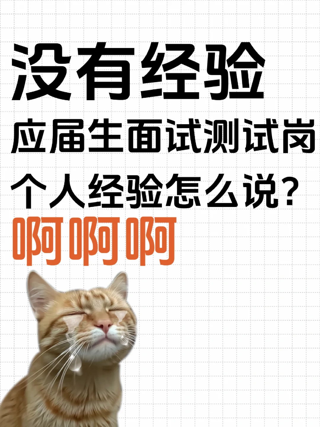 木有经验面试测试岗个人经验咋说😭😭