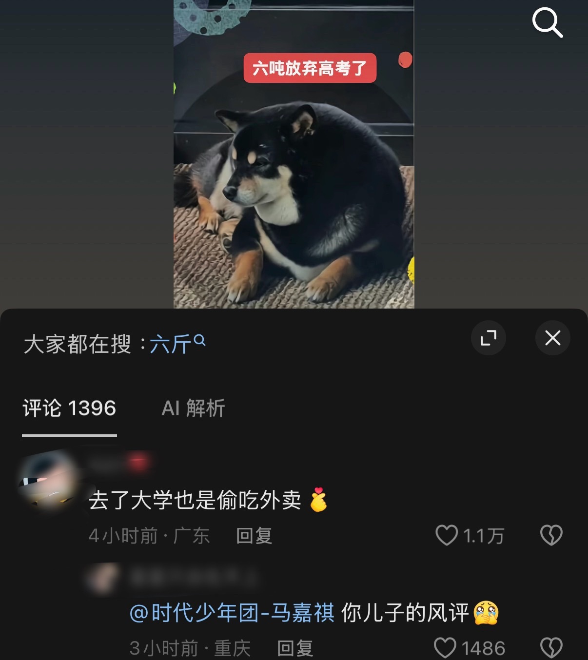 我真求了