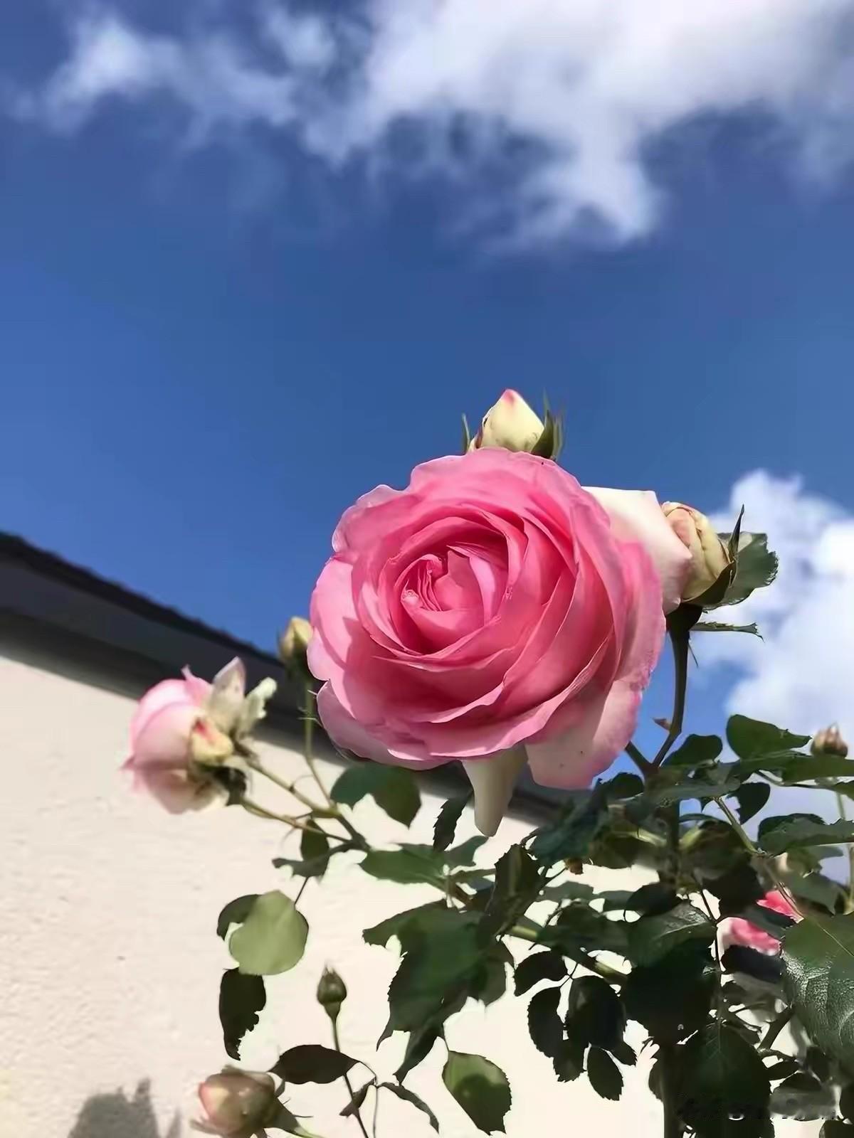 过了45岁之后，如果不学会放手，你会被这三样东西拖垮

人到了中年往后，肩上的担