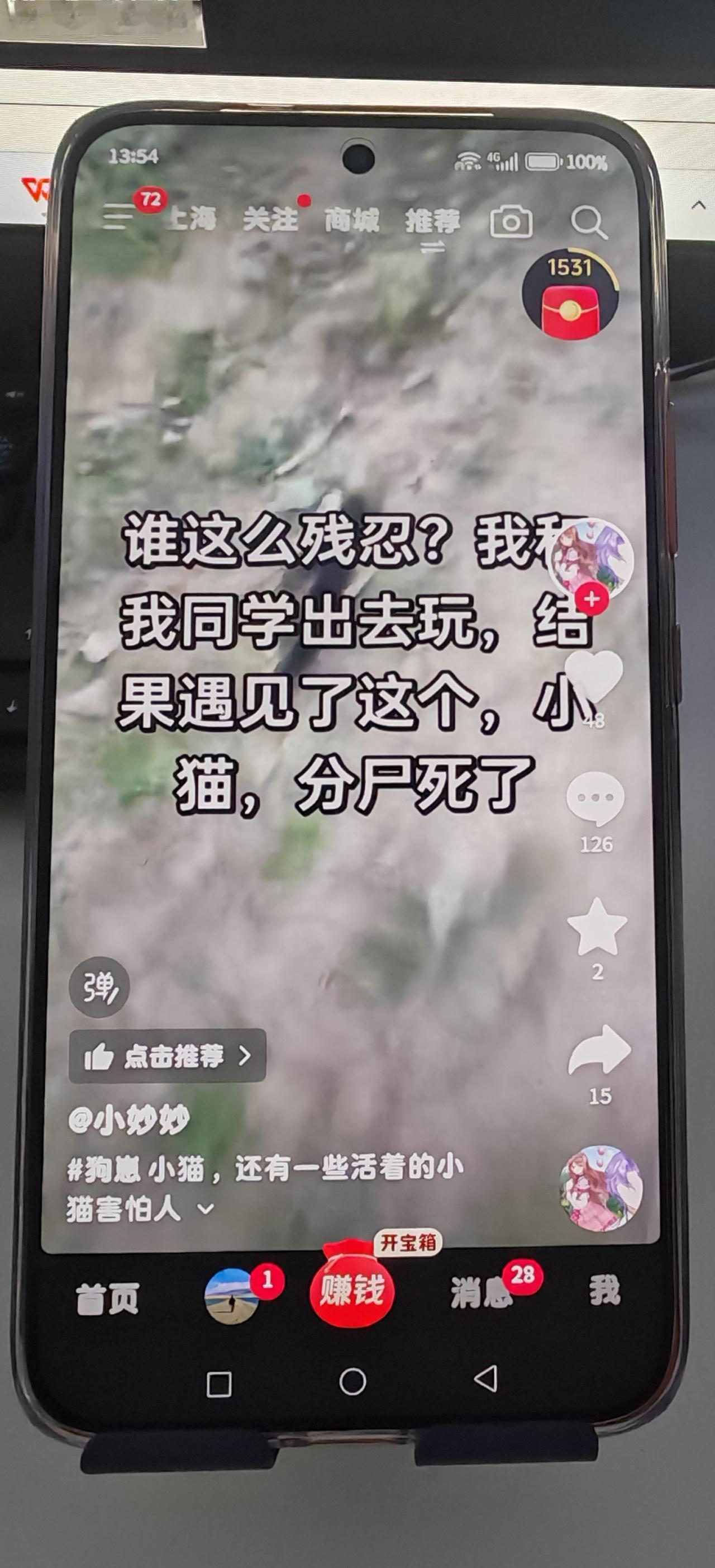 恶人没恶报吗！——
 
视频内容：发现幼猫惨遭分尸遇害，还有幸存幼猫受惊躲避、惧