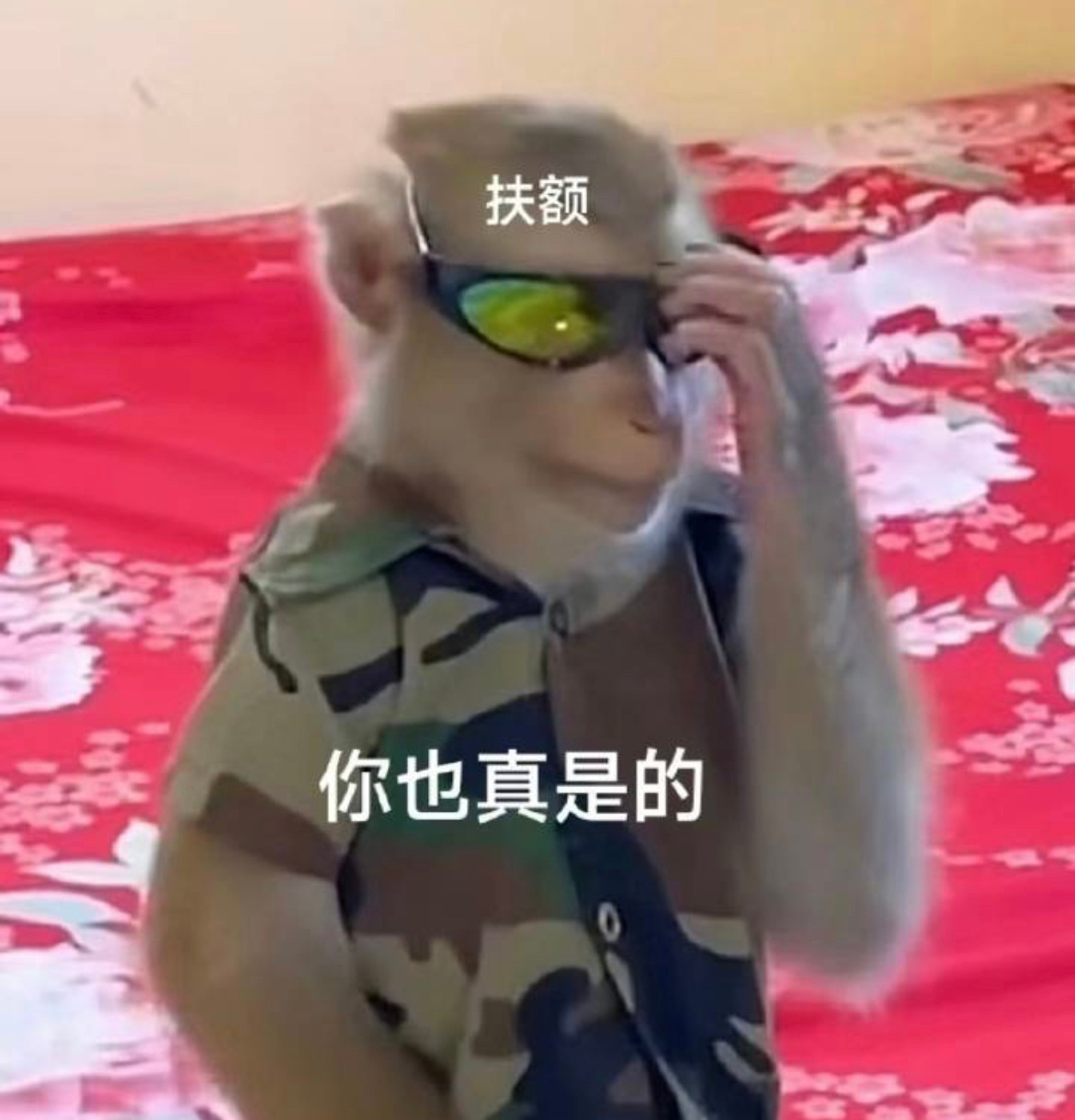 每次看到有人分享闪婚经历秀恩爱…说实话我都很难产生任何“哇塞好幸福”的心情。特别