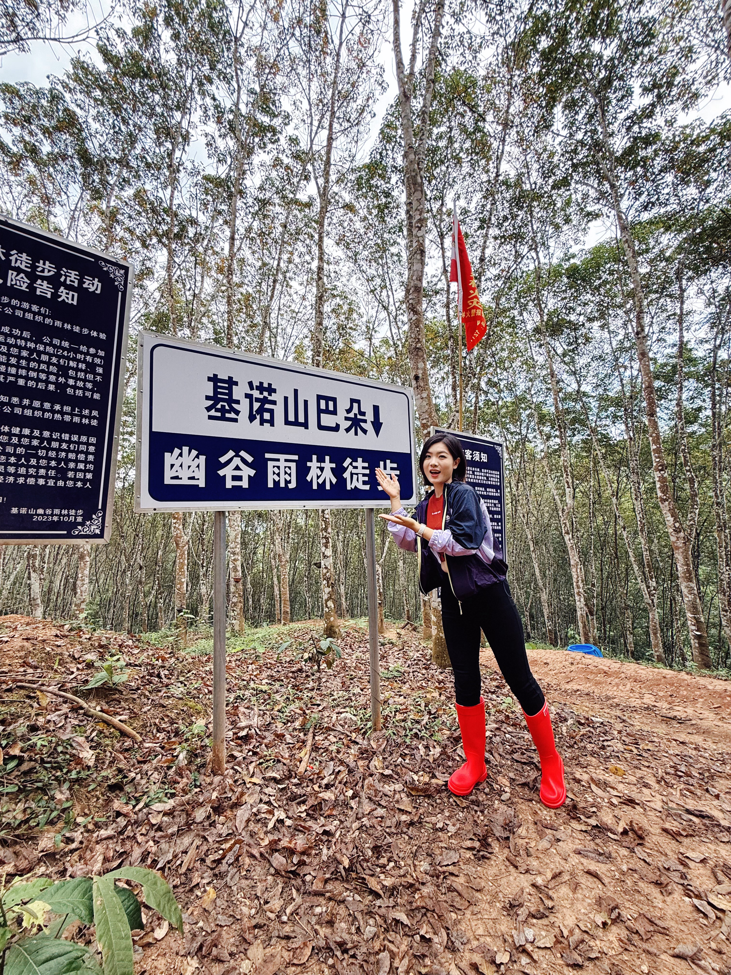 上班了吗朋友们？我先上山了[馋嘴]基诺山雨林徒步～  ​​​