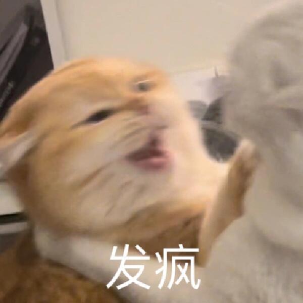 吴宣仪有戏wxy吴宣仪 朋友们朋友们！今天超喜欢真的不太ok哇，离昨天差了好大一