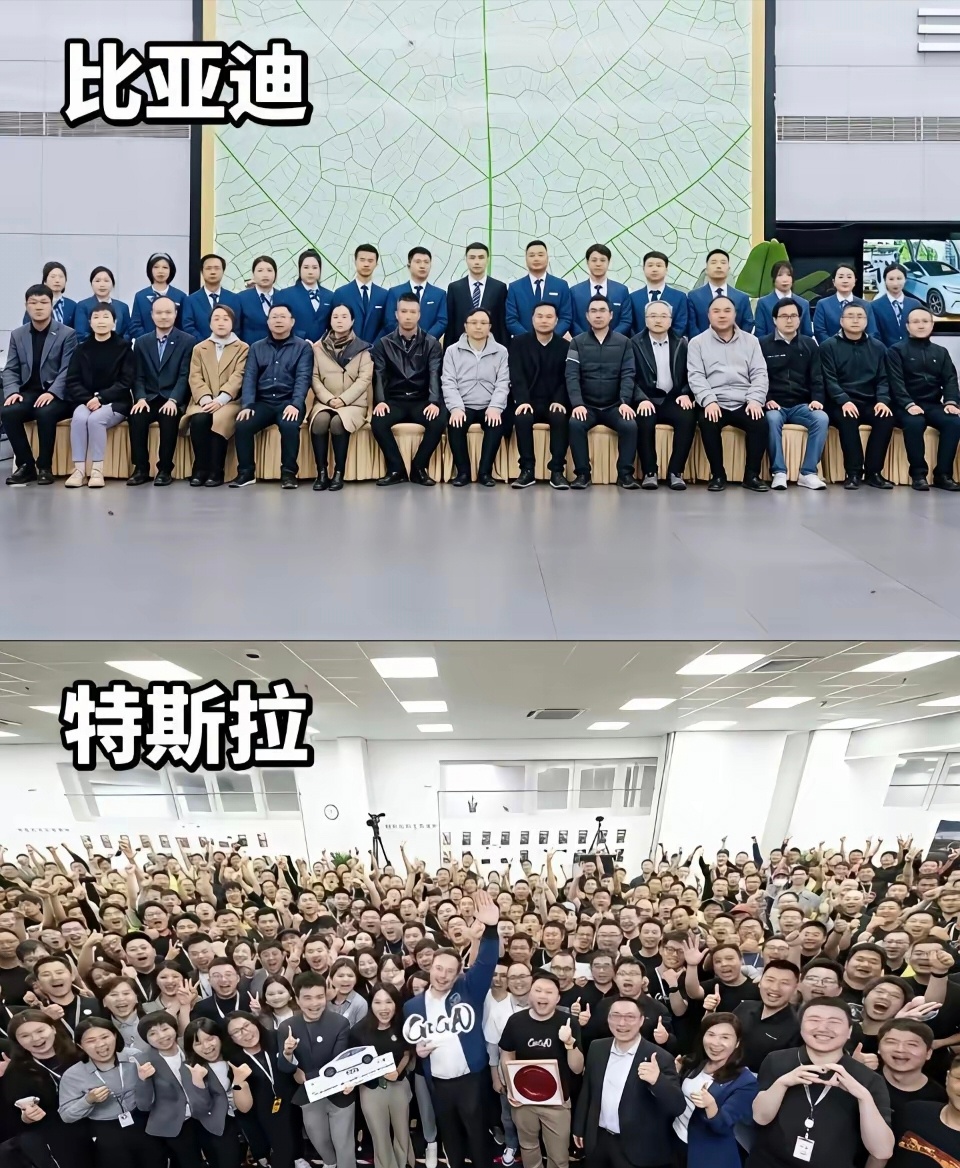 现在看高科技公司的竞争，实际上已经变成中国人和华人的竞争！ 