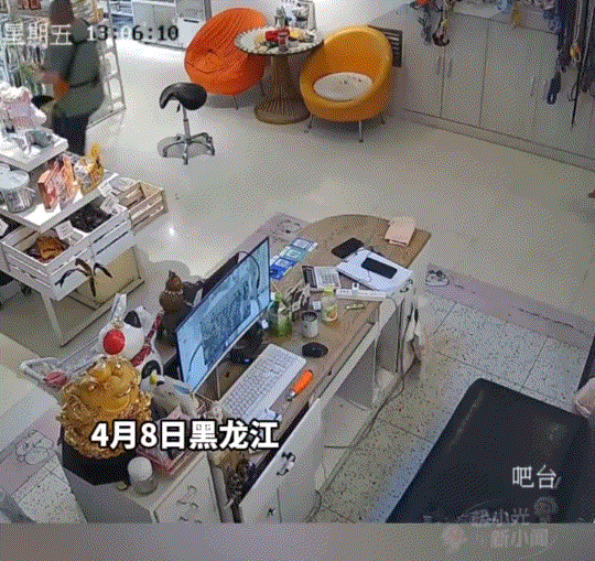 笑不活了！黑龙江大庆，一狗主人带着自家狗子到宠物店里洗澡。结果没想到，宠物店店主